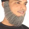 BC GOODS BY Men's Chin Curtain Gray Facial Hair Set Long Beard for Cosplay view 3