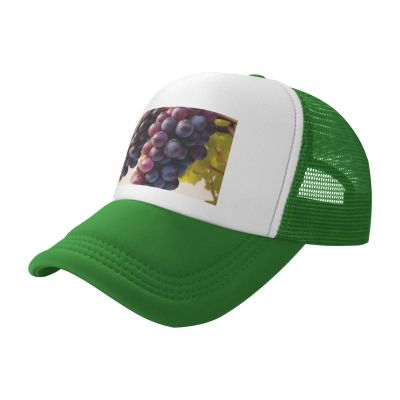 RLDOBOFE Baseball Cap Golf Dad Hat for Men Women Adjustable Baseball Hat Desert Grapes Dad Cap Unconstructed