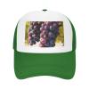 RLDOBOFE Baseball Cap Golf Dad Hat for Men Women Adjustable Baseball Hat Desert Grapes Dad Cap Unconstructed view 4