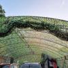 LLurAQE Camo Netting 4X7M Outdoor Hunting Military Camouflage Net Camping Shooting Sunshade Nets Camo Netting,Sunscreen Nets for Hunting, Decoration, Sun Shade, Camping view 4