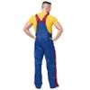 FOCO Men's Denver Nuggets NBA Logo Bib Overalls, Team Stripe view 2