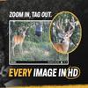 Moultrie Edge 2 Cellular Trail Camera - Auto Connect Nationwide 4G LTE - On Demand 36MP Photo - 1080P Video with HD Audio - 100 Ft Detection Range - Low Glow Flash view 4