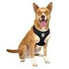Littlearth NFL Pittsburgh Steelers Velvet Pet Harness, Medium view 2