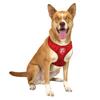 Littlearth NFL Kansas City Chiefs Velvet Pet Harness, Large view 2