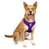 Littlearth NFL Minnesota Vikings Velvet Pet Harness, Small view 2