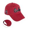 Desert Cactus University of South Carolina Baseball Hat Gamecocks USC Brimmed Embroidered Hats Cap Adjustable Cloth Strap Adult (Style G1) view 1