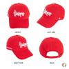 Desert Cactus University of Nebraska Baseball Hat Huskers GBR NU Brimmed Embroidered Hats Cap Adjustable Cloth Strap Adult (Style D1) Red view 3
