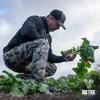 Big Tine Food Plot Mix, Deer Attractant, Advantage Turnips, 3 lbs Bag, Fall/Winter Annual, Extremely Versatile, Drought Resistant view 3