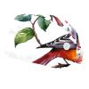 2 Pieces Scrub Caps Women Men's Scrub Cap Nurse Scrub Cap for The Surgeon Tropical Floral Flowers Multicoloured