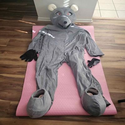Affordable Grey Mouse Rat Suit Animal Mascot Costume Party Carnival Costumes With Fans