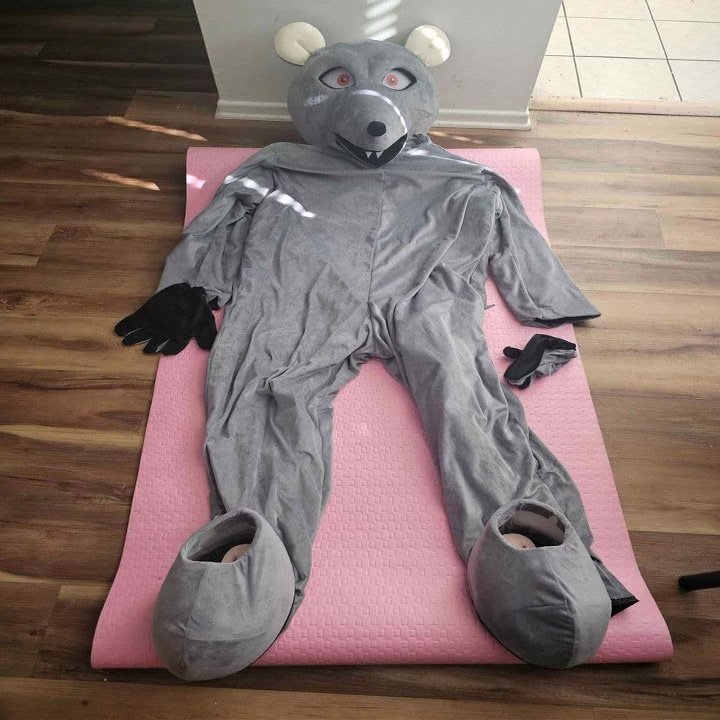 Affordable Grey Mouse Rat Suit Animal Mascot Costume Party Carnival Costumes With Fans