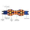 PerGar Swim Belt, Eva Water Aerobics Exercise Belt, Swim Training Equipment, Swim Belt for Adults, for Low Impact Exercise Pool Workout (Medium 80 X 60 X 53cm / 31.5 X 23.6 X 20.9in) view 3