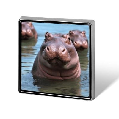 Personalized Button Badge,Cute Hippos Print Memorial Pin,Square Pin Brooches for Clothing Bags Jackets Accessories