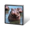 Personalized Button Badge,Cute Hippos Print Memorial Pin,Square Pin Brooches for Clothing Bags Jackets Accessories view 1