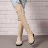 Women's Side Zipper Chunky Heels Knee High Boots Thigh High Chunky Heel Boots Low Heel Round Toe Winter Tall Boots view 4