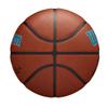 WILSON NBA Team Alliance Basketball - Charlotte Hornets, Size 7-29.5" view 4