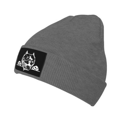 AIZBEGDLU American Bully Winter Beanie Knit Hats Unisex Thermal Hat Deep Heather