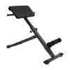 Bitodd Bench Exerciser, Roman Ultra Extension Bench, Foldable Extension Training Bench, Lumbar Abdominal Back Trainer, Multi-Purpose Roman Chair for Home, Gym, Hotel, Black view 1