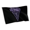 Desert Cactus Golden State Valkyries Flag Team WNBA 100% Polyester Indoor Outdoor 3x5 feet Flag (Design A) view 1