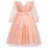 Baby Girl Wedding Flower Girl Dress Long Sleeve Glitters Ruffle Tulle Tutu Dress Birthday Dress Orange 5-6 Years view 3