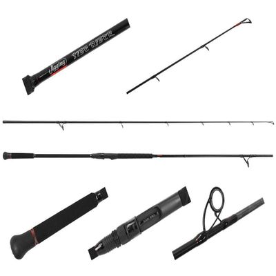Jigging World JW-TR1002S-H Tide Rider Rod 10'0" 30-50lb 2-5oz 2pc