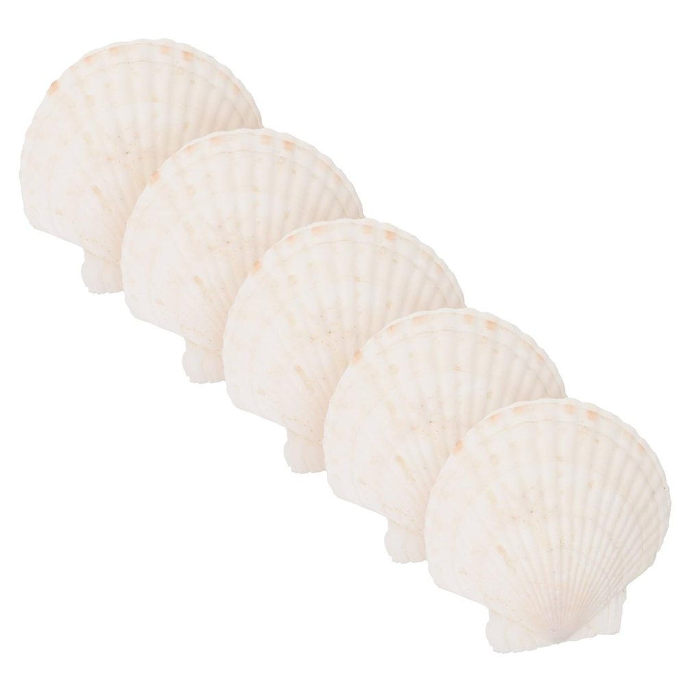 5pcs Shell Storage Tray Shell Shaped Trinket Tray Jewelry Tray Trinket Dish Earring Plate Jewelry Dish Bathroom Vanity Tray Jewelry Plate Tray Shell Ring Holder Display Tray/1062