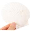 5pcs Shell Storage Tray Shell Shaped Trinket Tray Jewelry Tray Trinket Dish Earring Plate Jewelry Dish Bathroom Vanity Tray Jewelry Plate Tray Shell Ring Holder Display Tray/1062 view 2