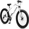 Betterland 26 Inch Bicycle Wheels, Fat Tire Mountain Bike, 21-Speed with Dual Front Suspension, High Carbon Steel Frame with Double Disc Brake and Anti-Slip Bicycle for Adults and Teenagers (FT-White) view 1