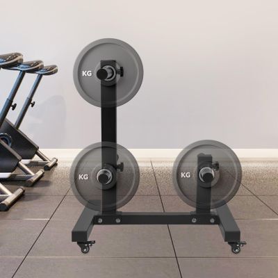 GUIAFUHYE Weight Plate Rack Tree, Weight Plate Rack Tree Bumper Plate Holder,Weight Tree Rack