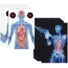 Hollowfly 50 Pack 23 x 35 Inch Shooting Range Targets Anatomical Paper Silhouette Paper Shooting Targets Human Silhouette Targeting X-Ray Skeleton Designs Anatomical for Practice view 1
