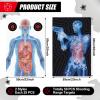 Hollowfly 50 Pack 23 x 35 Inch Shooting Range Targets Anatomical Paper Silhouette Paper Shooting Targets Human Silhouette Targeting X-Ray Skeleton Designs Anatomical for Practice view 2
