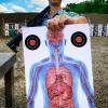 Hollowfly 50 Pack 23 x 35 Inch Shooting Range Targets Anatomical Paper Silhouette Paper Shooting Targets Human Silhouette Targeting X-Ray Skeleton Designs Anatomical for Practice view 3