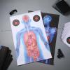 Hollowfly 50 Pack 23 x 35 Inch Shooting Range Targets Anatomical Paper Silhouette Paper Shooting Targets Human Silhouette Targeting X-Ray Skeleton Designs Anatomical for Practice view 4