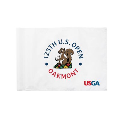 COGOLFING Standard Golf Flag U.S.Tour 2025, Tube Insert, 14x20 Inch 420D Nylon Dual-Sided Silk-Screen, Ideal for Practice Putting Green, Driving Range, Course, Club, White, 1-Pack