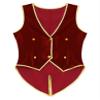 Eandarui Boys Kids Vintage Medieval Renaissance Tailcoat Velvet Vest Victorian Steampunk Button Down Waistcoat Red 6 Years view 1
