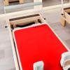 Pilates Reformer Mat (Red) view 4