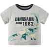 ALEXZV Toddler Boy' Shirts 2 Packs Dinosaur Short Sleeve Tops T-Shirt Size for 3-6 Years (US, Age, 6 Years, 7 Years, The Most Expensive Double-Sided T-Shirt) view 2