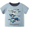 ALEXZV Toddler Boy' Shirts 2 Packs Dinosaur Short Sleeve Tops T-Shirt Size for 3-6 Years (US, Age, 6 Years, 7 Years, The Most Expensive Double-Sided T-Shirt) view 4