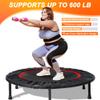 40"/48" Foldable Mini Trampoline for Adults 450/600 LB Rebounder Trampoline with Adjustable Foam Handle for Home Gym Small Exercise Trampoline for Indoor or Garden Workout view 2