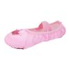 Ballet Shoes for Girls Satin Dance Practice Slippers Split Soft Leather Flat Sole Crown Yoga Gymnastics Shoes (Pink, 1.5 Big Kids) view 1