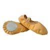 Ballet Shoes for Girls Kids Toddler Shoes Boys Ballet Slippers Soft Canvas No-Tie Dance Shoes Slip On with Elastic (A, 11.5 Little Child) view 1