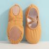 Canvas Ballet Shoes for Girls Toddler Kids Dance Practice Slippers Split Soft Elastic Laces Yoga Flat Shoes (D, 10.5 Little Child) view 3
