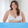 Bestform Womens 5006248 Striped Wireless Cotton Bra with Lightly-Lined Cups view 2