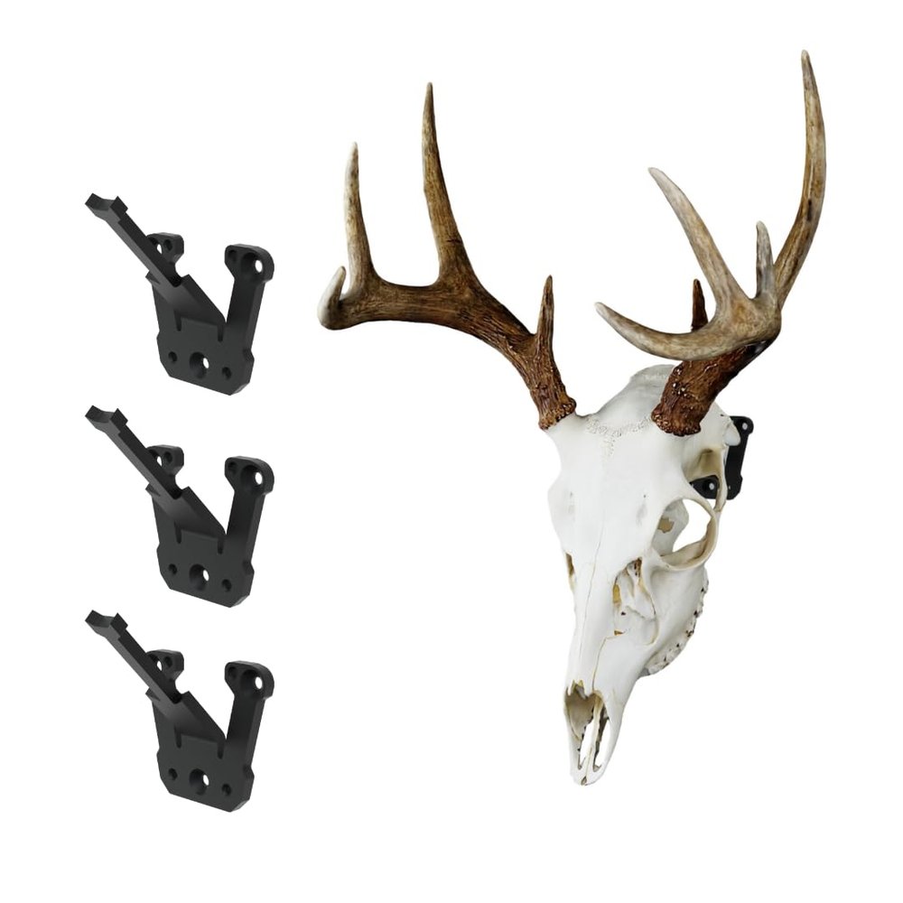 Prized Possessions Sturdy European Mount Skull Hanger. Low Profile. USA Based Company. Secure Your Euro Mount with Peace of Mind! Show Off Your Deer Skull Mount! (Modular Hook, 3, Count)