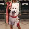 Christmas Samoyed Dog Womens Long Sleeve Shirts Crew Neck Casual Tshirts Fashion Lightweight Tops Outfits Clothes 2XS view 2