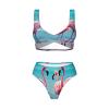 Flamingo Beach Print Women Swimsuit Bikini Set Push Up Cheeky Two Piece Bathing Suit Top Wide Straps view 4