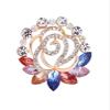 GTEFSWS Brooches Brooch Flower Brooch High-Grade Scarf Buckle Ladies Wild Clothing Pin Scarf Shawl Accessories Pin for Women Fashion view 1