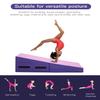 Folding Incline Gymnastics Mat for Tumbling, Folding Tumbling Mats Cheese Wedge Incline Mat with Non-Slip PU Leather Surface & Handles, Gym Fitness Tumbling Matts for Kids Girls Home Training Exercise view 2