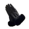 Women Winter Touch Screen Driving Glove Female Double Thick Plush Wrist Warm Outdoor Sport Cycling Glove view 1