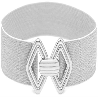 BAOKELAN Wide Elastic Waist Belts for Women Stretchy Skinny Belts with Gold Buckle for Dresses Bling Silver 85cm/34in
